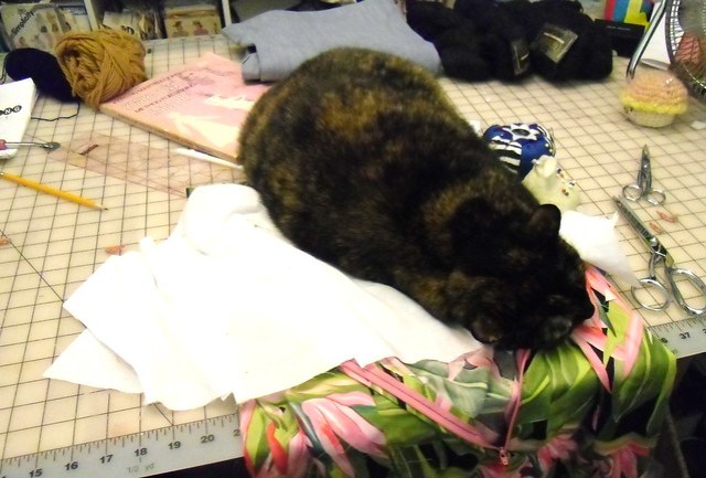 Current Bombshell state