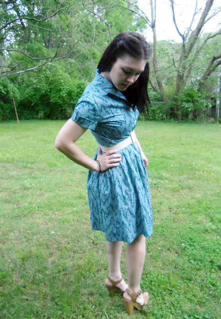 Shirtwaist Dress