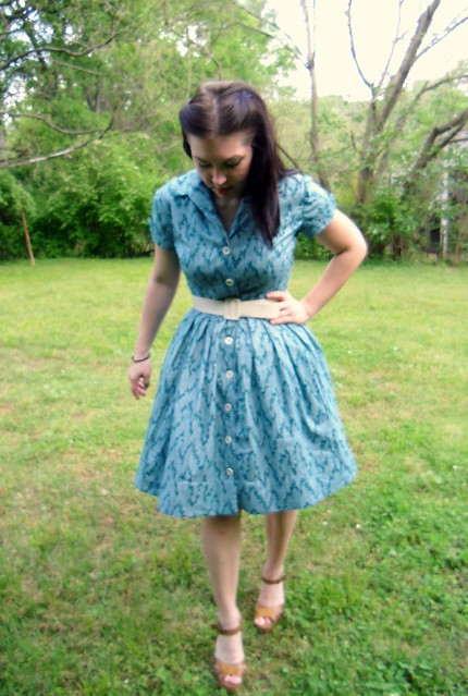 Shirtwaist Dress - with petticoat