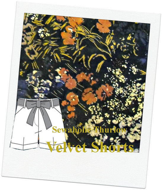 Velvet Shorts