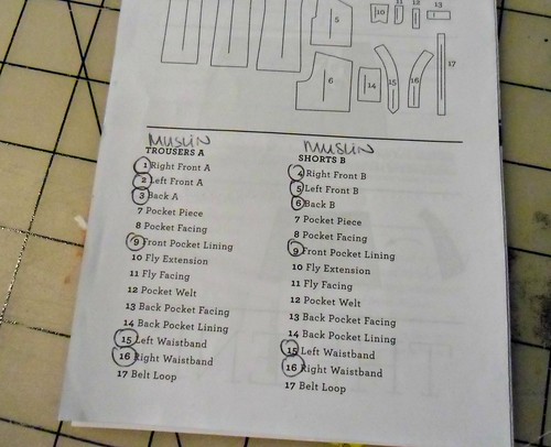 Thurlow Muslin - necessary pattern pieces