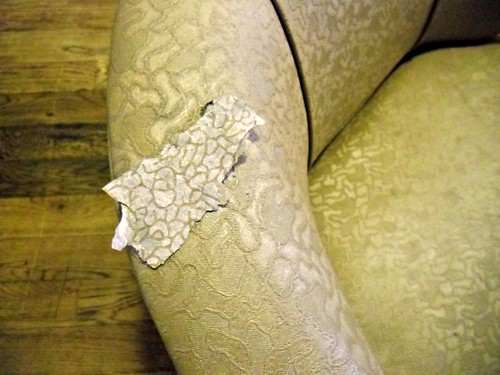 Wallpaper scrap matches the chair