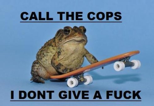 I+DON+T+GIVE+A+FUCK_b3dd59_3577430