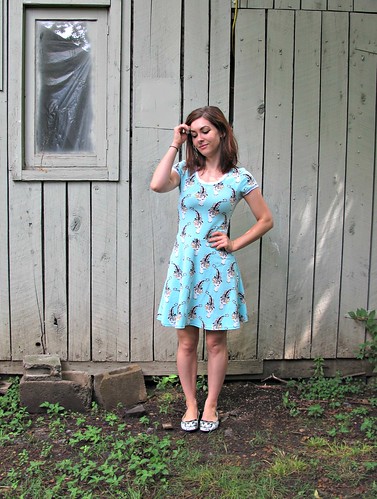 Lady Skater Dress