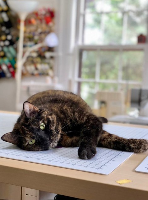 2018 Studio - Amelia